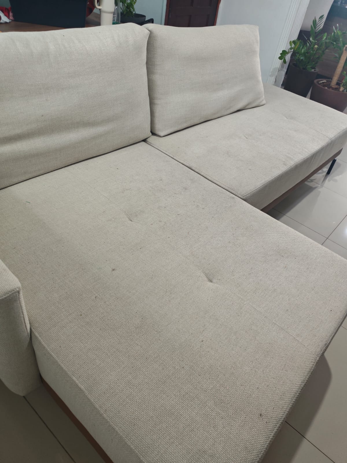 Higienização de estofados 13